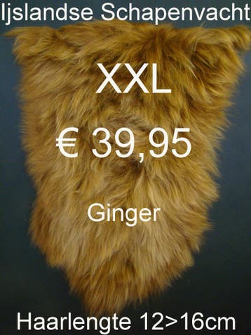 Schapenvacht IJSLANDSE GINGER BREEZE XXL Schapenvel € 39,95, Ophalen of Verzenden, Nieuw