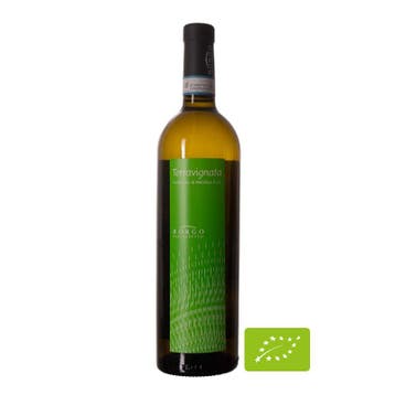 Terravignata Verdicchio di Metelica, Ophalen of Verzenden, Nieuw