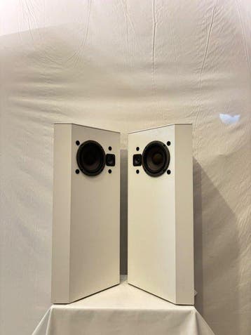 Bose - 401™ Direct/Reflecting Floorstanding Luidsprekerset, Audio, Tv en Foto, Nieuw
