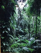 Thomas Struth (1954) - Sao Francisco de Xavier - Brasil