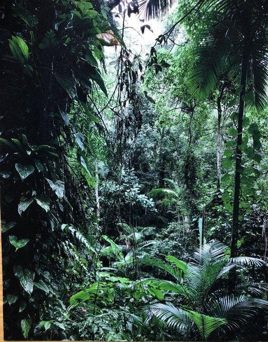 Thomas Struth (1954) - Sao Francisco de Xavier - Brasil, Antiek en Kunst, Kunst | Designobjecten