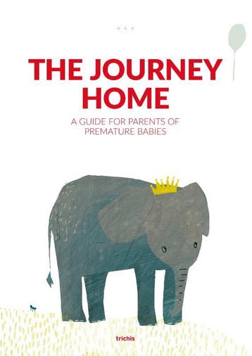 The Journey Home | Nieuw, Ophalen of Verzenden, Nieuw, Angelique Hoffmann-Haringsma; Liduine Schönau
