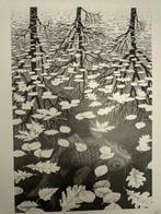 M.C. Escher (1898-1972), after - Drie werelden