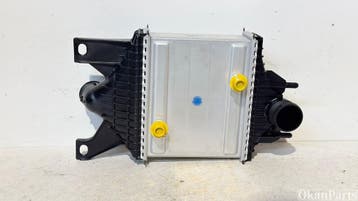 Land Rover Range Rover Jaguar Intercooler FPLA6K775 LR062405, Ophalen, Gebruikt