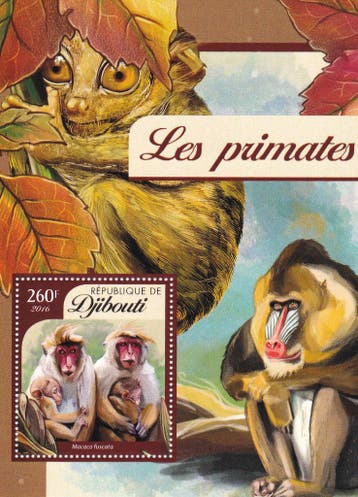 Djibouti - 2016 - Apen - Postfris, Verzenden, Postfris, Dier of Natuur