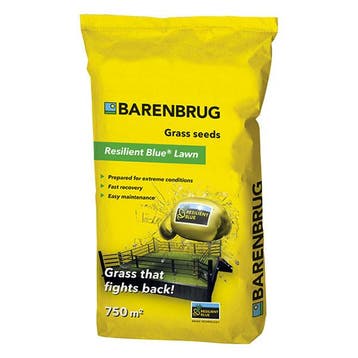Graszaad | Barenbrug | Resilient Blue Lawn | 750 m², Tuin en Terras, Verzenden, Nieuw