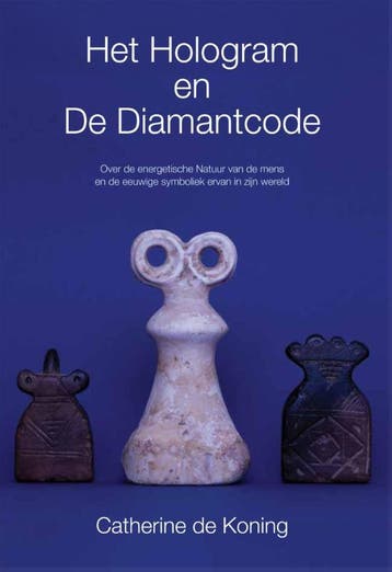 Het hologram en de diamantcode - Catherine de Koning, Boeken, Verzenden, Gelezen, Catherine de Koning