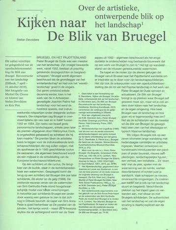 Kijken Naar De Blik Van Bruegel | Nieuw, Ophalen of Verzenden, Nieuw, Stefan Devoldere; Kris Pint
