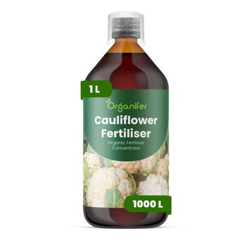 Bloemkool Vloeibare meststof - 1 liter, Verzenden, Mest