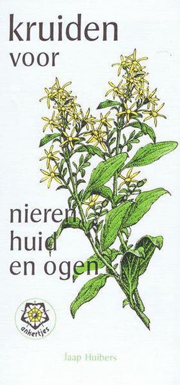 KRUIDEN VOOR NIEREN,HUID EN OGEN - J. Huibers 9789020205725, Verzenden, Gelezen, J. Huibers