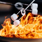 Solo Stove Vuurkorfspiezen 4- delig RVS, 40 % korting!, Ophalen of Verzenden, Nieuw, Vuurton