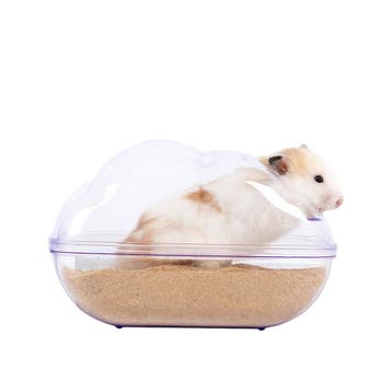 Grote Hamster Gerbil Kunststof Zandbak - Afgesloten Huisje B, Verzenden, Nieuw