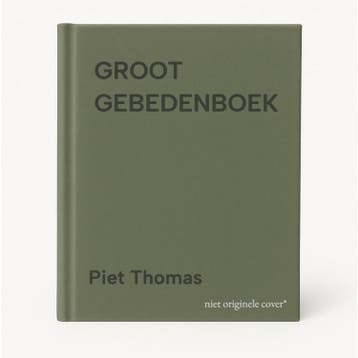 GROOT GEBEDENBOEK - Piet Thomas 9789026604782, Verzenden, Gelezen, Piet Thomas