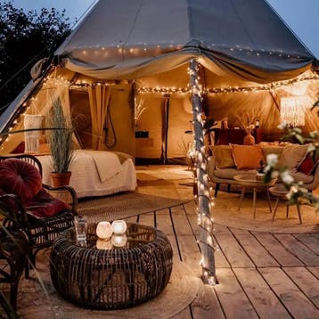 Bijzondere Glamping Overnachtingen - Boek eenvoudig en Snel, Huisdier toegestaan, In bos