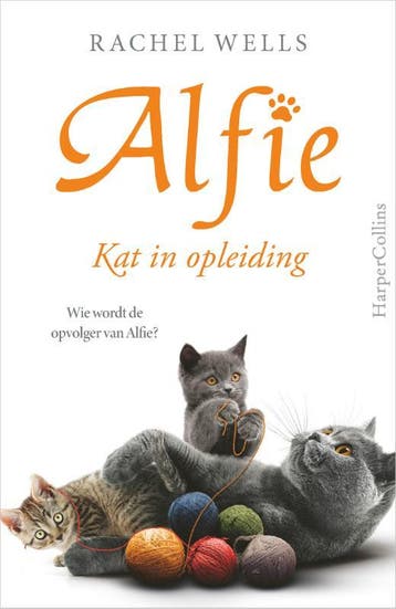 Kat In Opleiding | Rachel Wells | Nieuw, Ophalen of Verzenden, Nieuw, Rachel Wells
