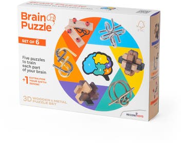 Breinbrekers (6 stuks) | Recent Toys - Puzzels, Verzenden, Nieuw