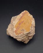 Oud-Romeins, Keizerrijk Grote veelkleurige fragment van een, Antiek en Kunst