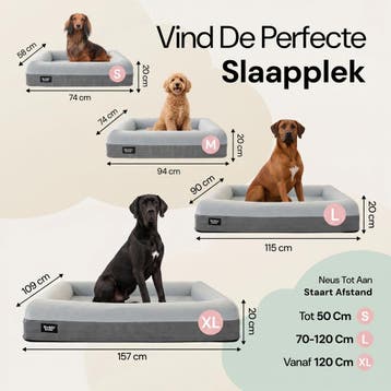 Buddy Bed XL orthopedische hondenmand (157 × 109 cm), Dieren en Toebehoren, Ophalen of Verzenden, Zo goed als nieuw