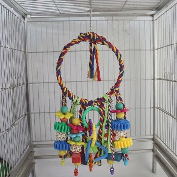 Kleurrijk Vogel Speelgoed - Houten Papegaai Accessoires & Sc
