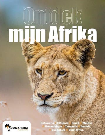 Ontdek Mijn Afrika | Marjolein Westerterp | Nieuw, Ophalen of Verzenden, Nieuw, Marjolein Westerterp