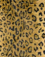 Velboa Panter Bruin, Nieuw, Bruin