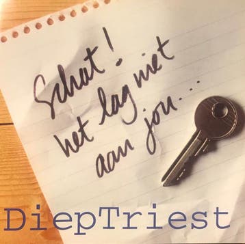 cd - Diep Triest - Schat Het Lag Niet Aan Jou, Verzenden, Zo goed als nieuw