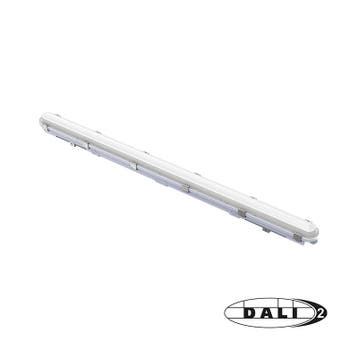 LED BATTEN | CLIFF | DALI | 35-60W | 150CM | 5-ADERIG | CCT, Ophalen of Verzenden, Nieuw