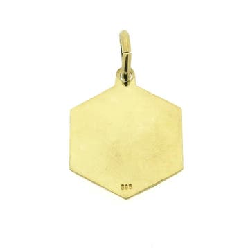 Gouden sterrenbeeld Leeuw hanger. (Hanger of bedel), Ophalen of Verzenden, Gebruikt, Goud, Overige merken