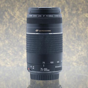 Canon EF 75-300mm f/4-5.6 USM III - Tweedehands, Ophalen of Verzenden, Gebruikt, Telelens, Zoom