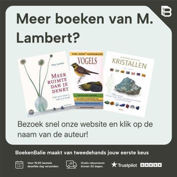 VANGST VAN DE DAG - M. Lambert 9789054261841, Verzenden, Zo goed als nieuw, M. Lambert
