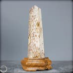 Zeer zeldzaam natuurlijk agatised koraal Obelisk on Stand,