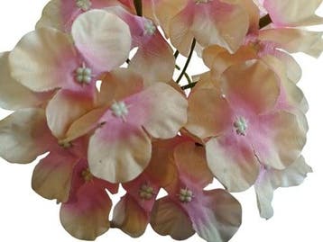 Hortensia hydrangea 6 oranje roze zijden bloemkop los 15×10, Ophalen of Verzenden, Nieuw