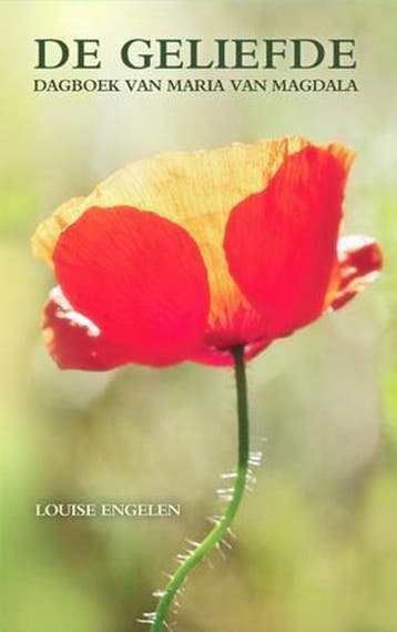 De geliefde - Louise Engelen 9789490298050, Boeken, Verzenden, Zo goed als nieuw, Louise Engelen