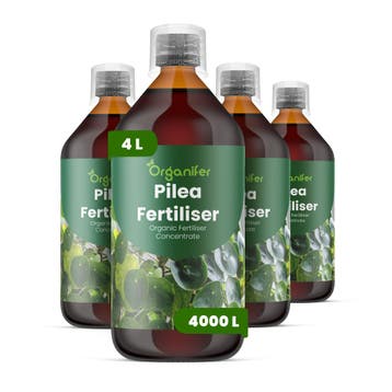 Pilea Vloeibare meststof - Set 4x1 liter, Verzenden, Mest