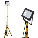 Enkele LED Bouwlamp 1x 50W op statief | 4500K - Daglicht wit, Ophalen of Verzenden, Nieuw, 50 tot 200 watt, Lamp met armatuur