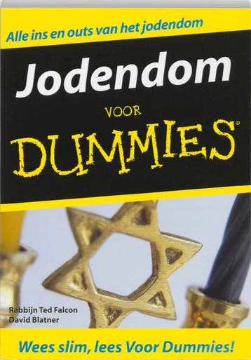 Jodendom voor Dummies / Voor Dummies - T. Falcon, Boeken, Verzenden, Gelezen, T. Falcon