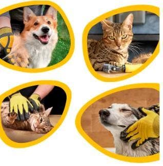Dubbelzijdige Honden- en Kattenborstel – Vacht en Onderwol, Verzenden, Nieuw