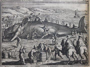 Jo.Ludovici Gottfridi - Jo.Ludovici Gottfridi Historische, Antiek en Kunst