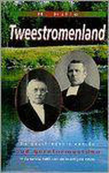 Tweestromenland - H. Hille 9789065050502, Boeken, Verzenden, Gelezen, H. Hille