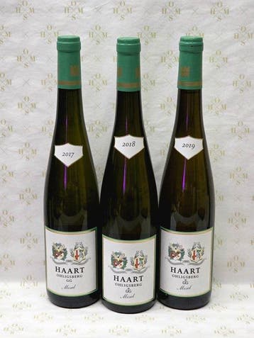 2017 & 2018 & 2019 - Reinhold Haart, GG-Wintricher, Nieuw