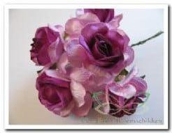 Mulberry Roos Purple Heart 5 cm pak, Ophalen of Verzenden, Nieuw