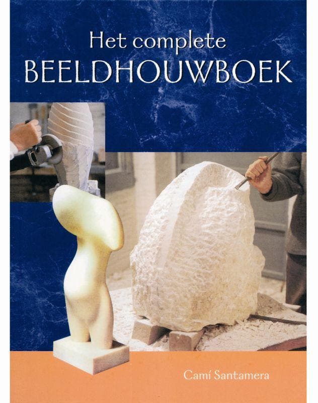 Het complete beeldhouwboek 9789021331263 J.T. I. Cami, Boeken, Hobby en Vrije tijd, Zo goed als nieuw, Verzenden