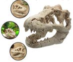 Dinosaurus Fossiel Aquarium Decoratie Hars Ornament, Dieren en Toebehoren, Verzenden, Nieuw