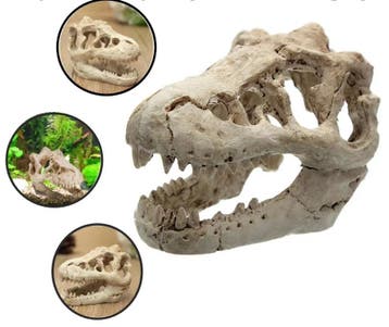 Dinosaurus Fossiel Aquarium Decoratie Hars Ornament, Verzenden, Nieuw