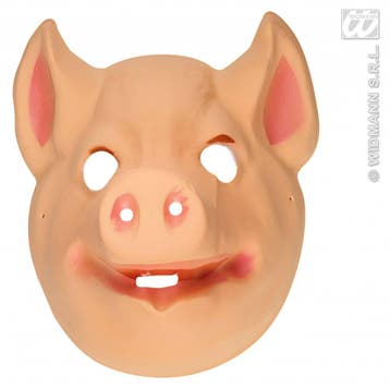 Varken masker kind plastic, Ophalen of Verzenden, Nieuw