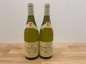 2023 Domaine Tribut Dauvissat Montmains - Chablis 1er Cru, Nieuw
