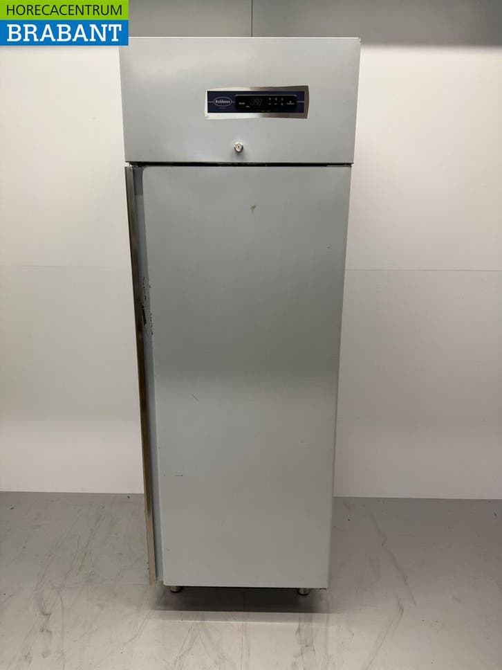 RVS Rubbens Koeling 550 liter 230V Horeca, Zakelijke goederen, Horeca | Keukenapparatuur, Gebruikt, Ophalen of Verzenden