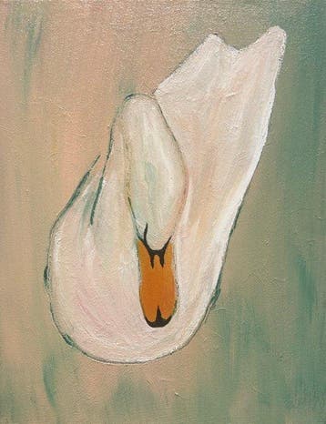 Devon (1993) - The Swan - NO RESERVE, Antiek en Kunst, Kunst | Schilderijen | Klassiek