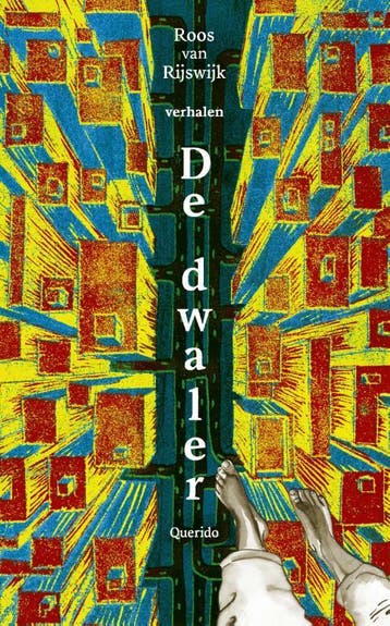 De Dwaler | Roos Rijswijk | Nieuw, Ophalen of Verzenden, Nieuw, Roos Rijswijk