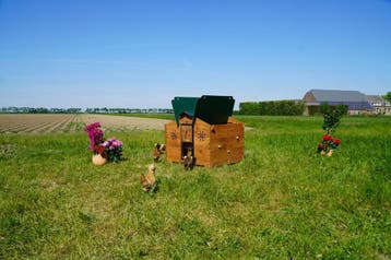 Volledig Cocciolotta Trespa Assortiment op Voorraad, Ophalen of Verzenden, Nieuw, Kippenhok of Kippenren